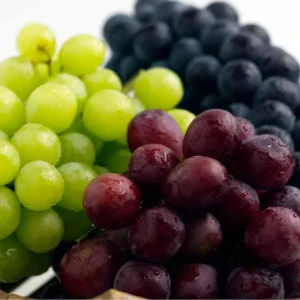 Grape Vine Collection: Concord, Catawba, Niagara - Bare Root Live Plant - Preorder April Shipping