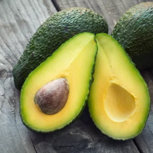 Sharwil Avocado Tree - Grafted Tree - 1 ft Height - Ships in Bag