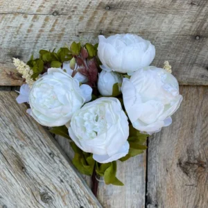 White Peony Bulbs for Planting - Pack of 1 Flower Bulbs