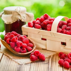 Red Raspberry Plant Bare Root 3 Pack - Easy To Grow
