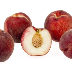 Mericrest Nectarine Tree - 2-3 ft Nursery Pot - Cold Hardy & Sweet