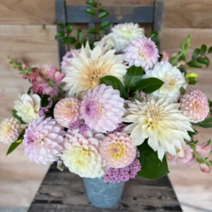 Blushing Bride Dahlia Collection Flower Bulbs - 4 Bulbs Per Pack