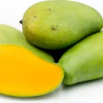 Brahm Kai Meu Mango Tree - Thai Green Sweet Mango Grafted - 3-4 ft - 3 Gal Pot