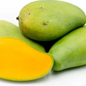 Brahm Kai Meu Mango Tree - Thai Green Sweet Mango Grafted - 3-4 ft - 3 Gal Pot