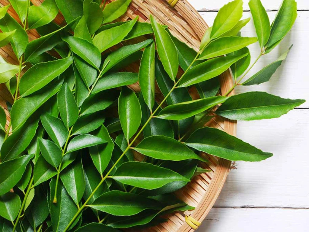 Curry leaves