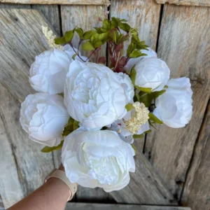 White Peony Bulbs for Planting - Pack of 1 Flower Bulbs