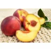 Fantasia Nectarine Tree - Fruit Tree 1.5 to 3 Feet - Garden Ready