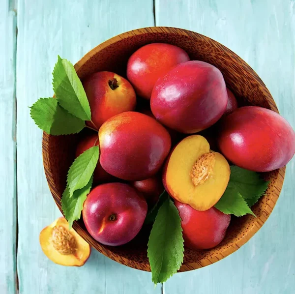 Flavortop Nectarine Tree Bare Root 3-4 ft Fruit Tree - Fast Growing