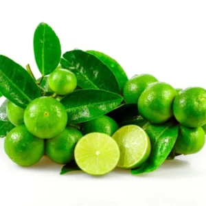 Key Lime Tree Starter Plant Live - 3-4 Ft Tall Potted Citrus Aurantifolia