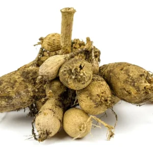 Optic Illusion Decorative Dahlia - 3 Bulbs Per Pack - Summer Fall Blooms