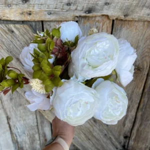 White Peony Bulbs for Planting - Pack of 1 Flower Bulbs