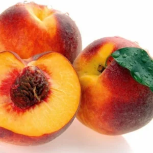Redhaven Peach Tree - Peach Fruit Tree - 1.5 to 3 Feet - Fresh Fruit