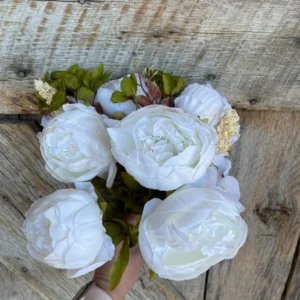 White Peony Bulbs for Planting - Pack of 1 Flower Bulbs