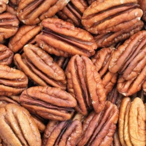 Tom Pecan Tree - Bare Root Fruit Tree - 3 to 4 Feet - Nut Producing