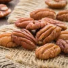 Tom Pecan Tree Live for Planting - 3-4 Feet Tall Live Plant - Bare Root - Hardy Pecan Nut Seedling