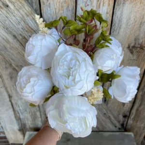 White Peony Bulbs for Planting - Pack of 1 Flower Bulbs