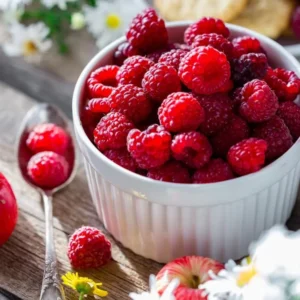 Nova Red Raspberry Plant - Live Raspberry Bush - 1 Gallon Edible Berry Plant