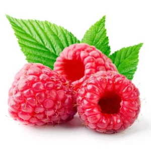 Heritage Red Raspberry Plant - 1 Gallon Small Potted Raspberry Fruit Plant