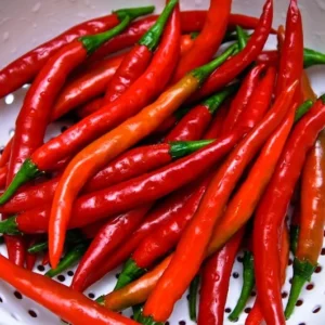 1 Pot - 2 Cayenne Hot Pepper Live Plants for Planting, 3-6 Inch Tall, Vegetable Plant in Your Home Garden