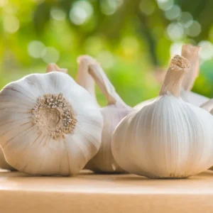 California Softneck Garlic Bulbs - 6 Count - Planting Garlic