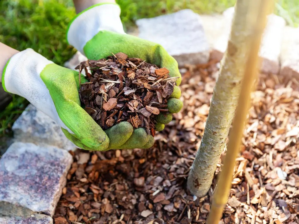 Mulching for Moisture Retention_ Summer Garden Care