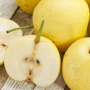 Nijisseiki asian pear