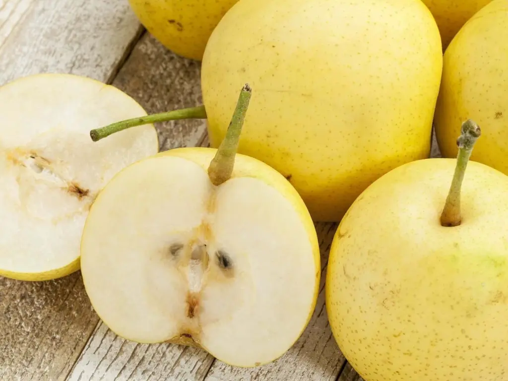 Nijisseiki asian pear