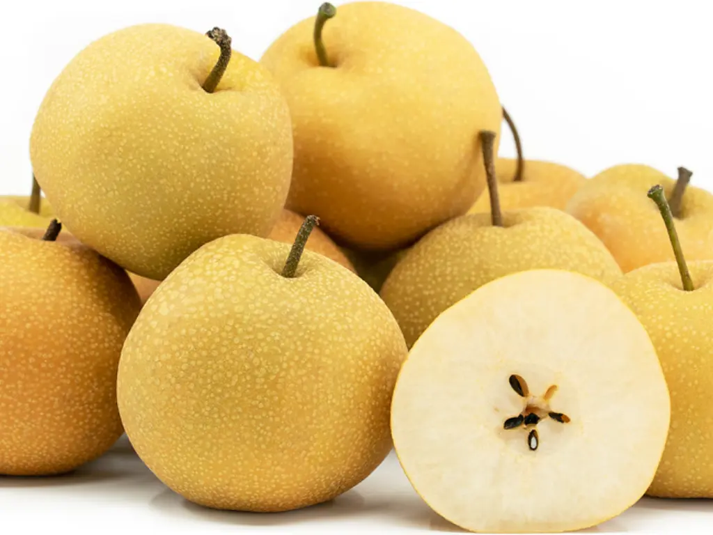 hosui asian pear