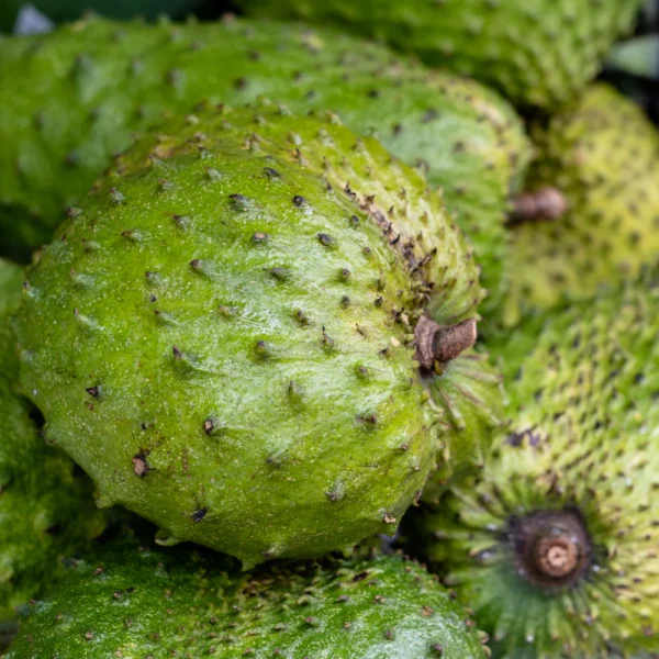 GUANABANA5