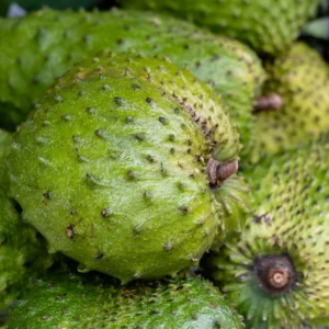 GUANABANA5