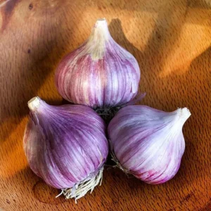 4 Chesnok Red Garlic Bulbs for Planting and Gardening, Hardneck Garlic Tubers