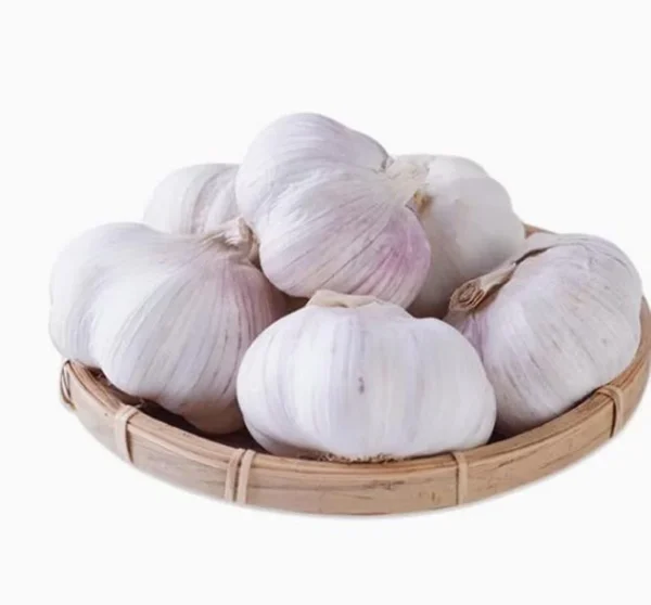 4 Polish Garlic Bulbs for Planting and Gardening, Hardneck Garlic Tubers, White Garlic