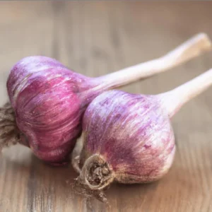 4 Red Russian Garlic Bulbs for Planting and Gardening, Hardneck Garlic Tubers