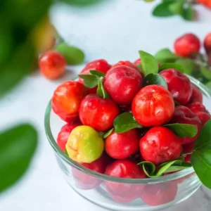 Barbados Cherry Tree Live Plant - 1 ft Tall Red Cherry Fruit Tree - Garden Ready