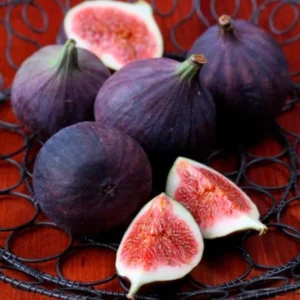 Black Mission Fig Tree Live Plant - 4-7 Inches Starter Fig Plant for Garden