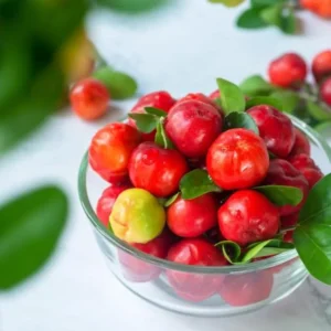 Dwarf Barbados Cherry Tree Live Plant - 5-9 Inch Ornamental Garden Acerola