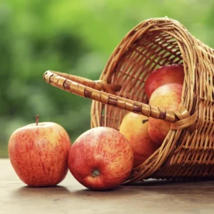 Dwarf Gala Apple Tree: Bare Root Live Plant, 2 Years Old, 3-4 Feet Tall - Fruit Trees