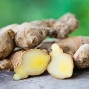 Ginger Plants 2-Pack - Starter Plants for Indoor/Outdoor Growing