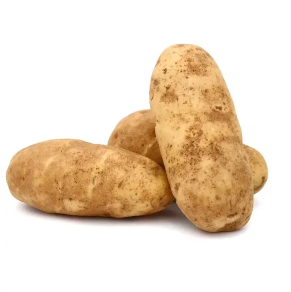 Idaho Potatoes - 2 Lbs Whole Tuber Seeds - Brown Potato Seeds for Planting