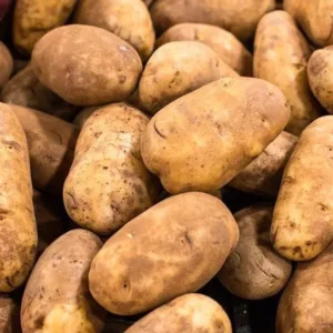 Idaho Potatoes - 2 Lbs Whole Tuber Seeds - Brown Potato Seeds for Planting