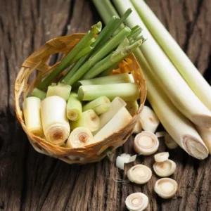 Lemongrass Live Plants - Set of 2 Outdoor Herb Plants Rooted Stalks