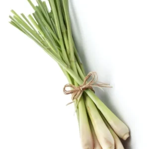 Lemongrass Live Plants - Set of 2 Outdoor Herb Plants Rooted Stalks