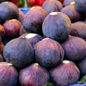 Live Fig Plant - Starter Tree - 4-7 Inches Tall - Garden Ready