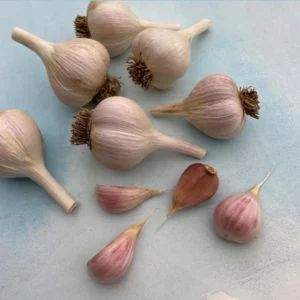 4 Music Garlic Bulbs for Planting and Gardening, Hardneck Garlic Tubers, White Garlic
