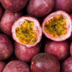Passion Fruit Live Plant - Edible Vine 4-6" Starter - Fast Growing Garden Tree