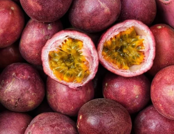 Passion Fruit Live Plant - Edible Vine 4-6" Starter - Fast Growing Garden Tree