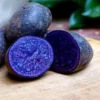 Purple Majesty Potatoes - Seed Tubers - 2 Lbs - Brown - Garden Planting