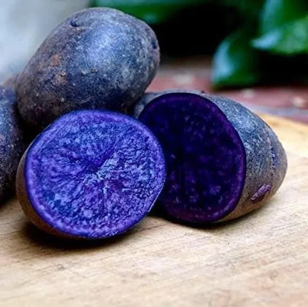 Purple Majesty Potatoes - Seed Tubers - 2 Lbs - Brown - Garden Planting