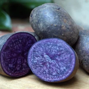 Purple Majesty Potatoes - Seed Tubers - 2 Lbs - Brown - Garden Planting