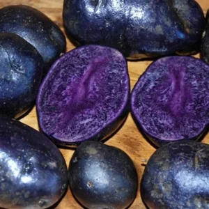 Purple Majesty Potatoes - Seed Tubers - 2 Lbs - Brown - Garden Planting